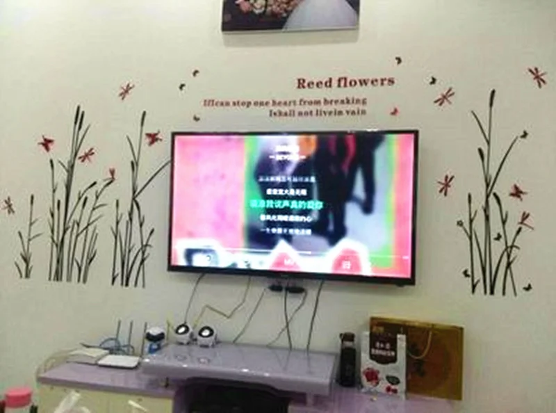 Современный простой настенный Стикеры ТВ фон декора трава Стрекоза декоративный