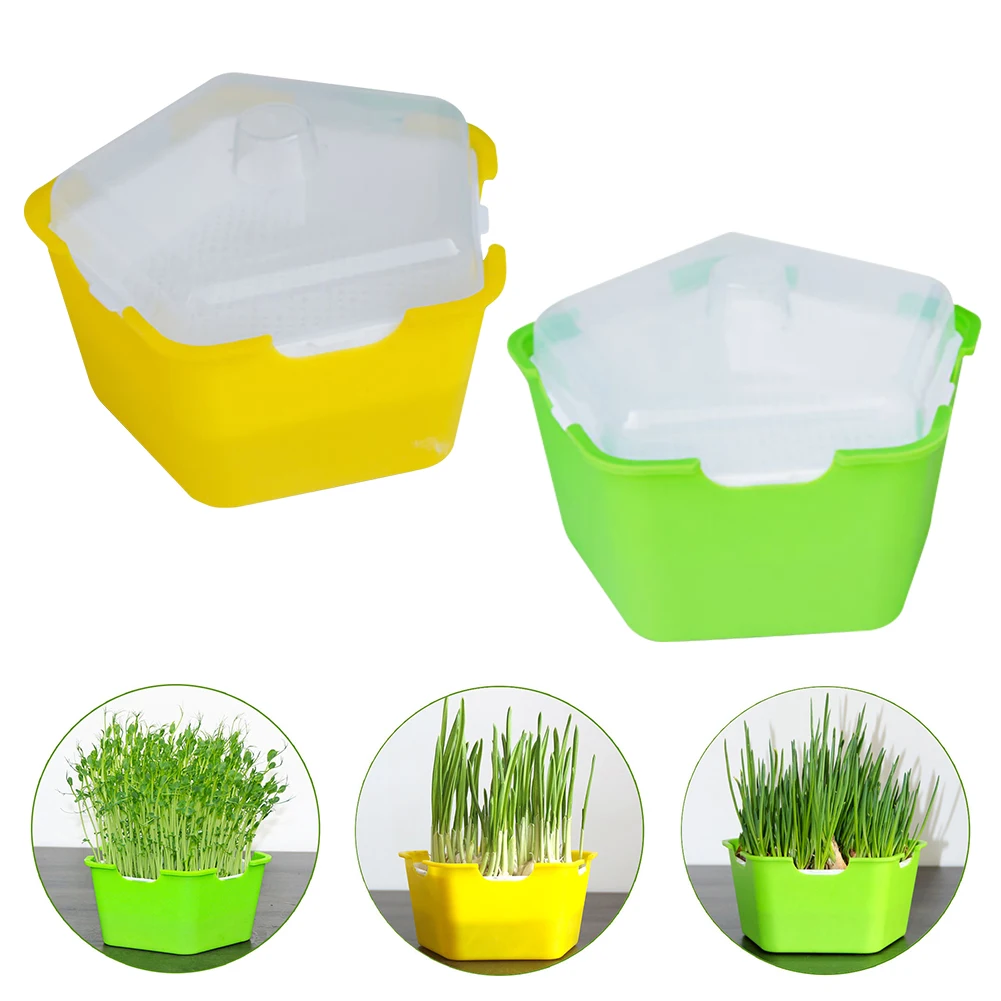 

1Pcs Pentagonal Box Sprouts Seedling Growing Tray Multifunctional Planting Box Cat Grass Box Children's DIY Sprouts Planting Box