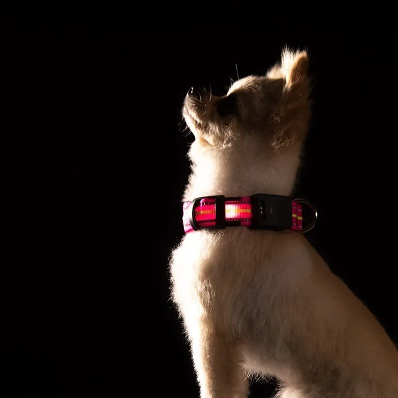 Benepaw удобный Перезаряжаемый USB светящийся светодиодный ошейник для Собак прочный водонепроницаемый светящийся ошейник для маленьких и больших собак 3 режима работы светильник