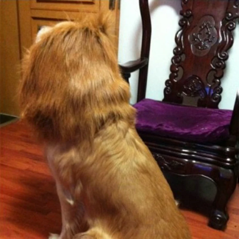 Модные аксессуары для собак шарф больших парик собака порода Лев костюм 80 см | Дом