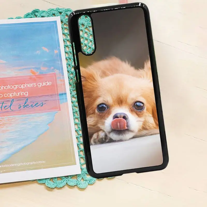 

Chihuahua dog cute animal luxury protective Phone Case shell PC for iPhone 11 12 pro XS MAX 8 7 6 6S Plus X 5S SE 2020 XR