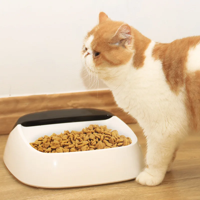 

Pet Smart Weighing Bowl Reasonable Weighing And Feeding Bowl Available For Both Cats And Dogs Lcd Screen Displays Weight