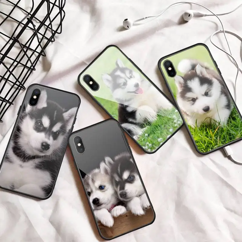 

Husky lovely funny animals Phone Case Tempered glass For iphone 6 7 8 plus X XS XR 11 12 13 PRO MAX mini