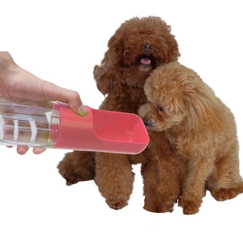 

Pet Products