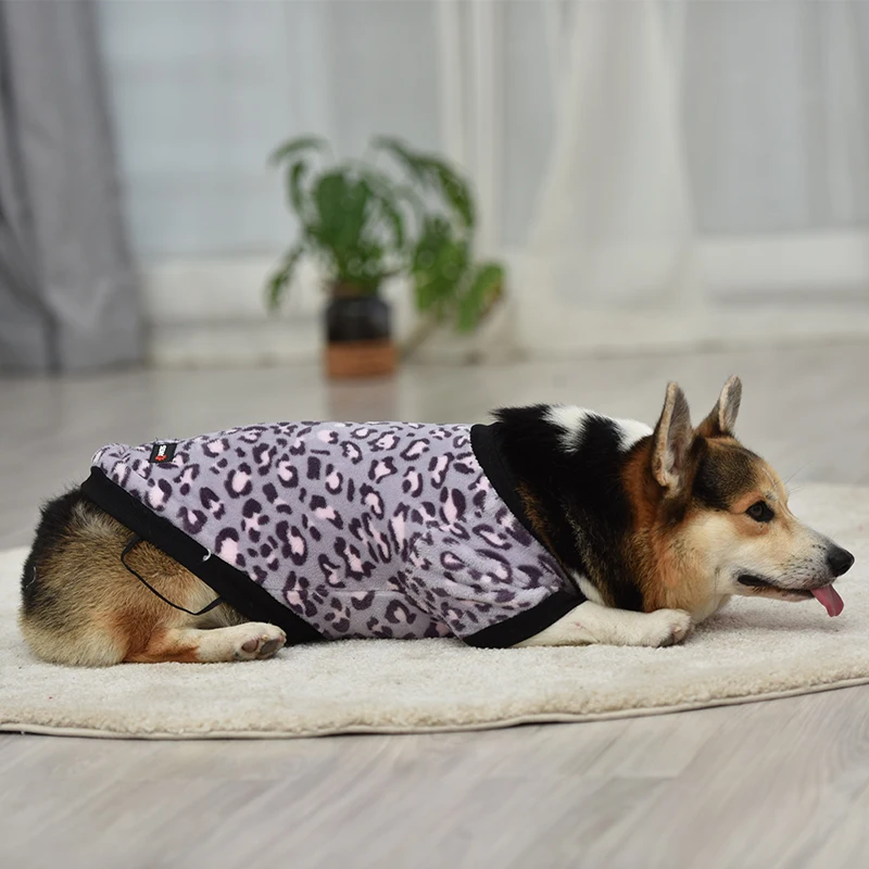 Одежда для домашних животных осенне-зимнее новое бархатное флисовое пальто на