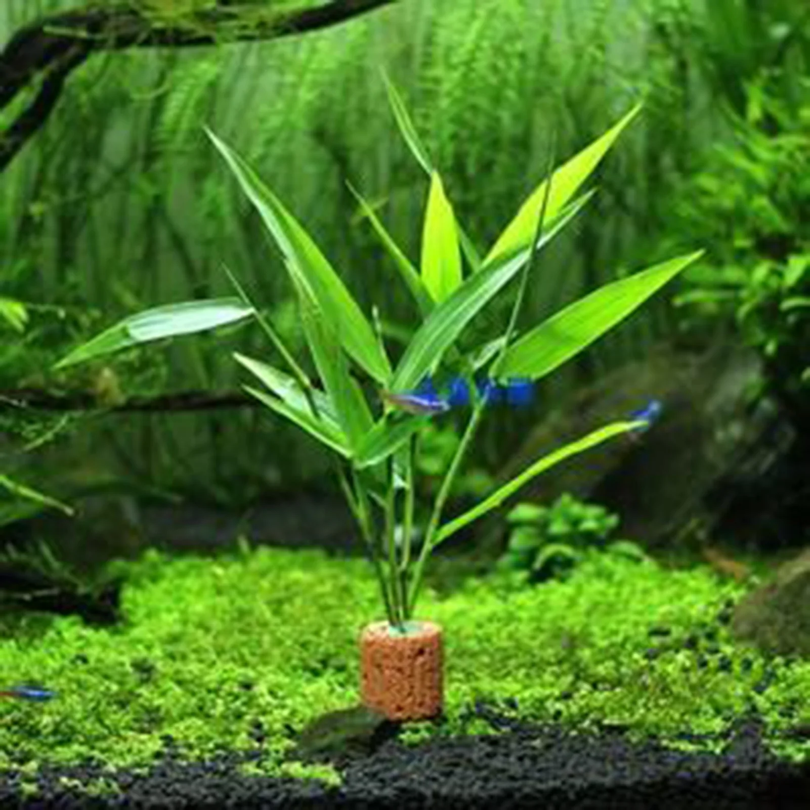 

Fish Tank Landscape Simulation Aquatic Plant Ornamental Lastics Short Seaweed Two-Color Bamboo Leaf