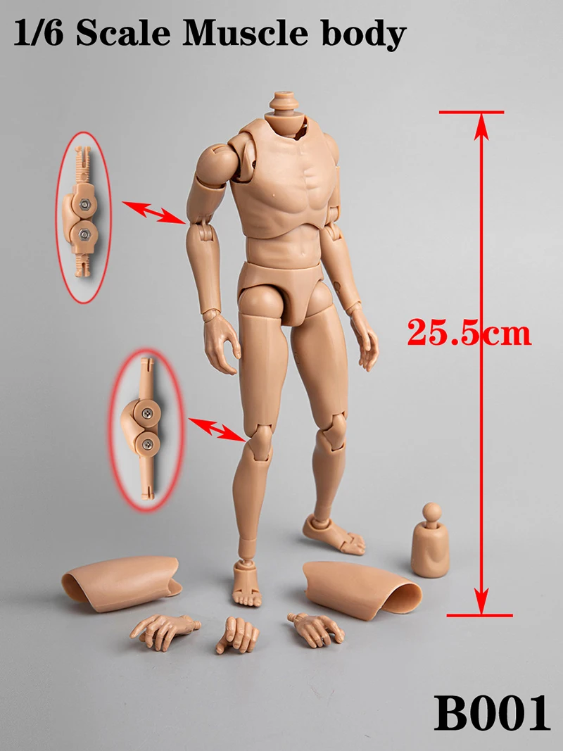 1/6 S004 мужской для мальчиков с рисунком Человек B001 узкая фигура плеча Военная
