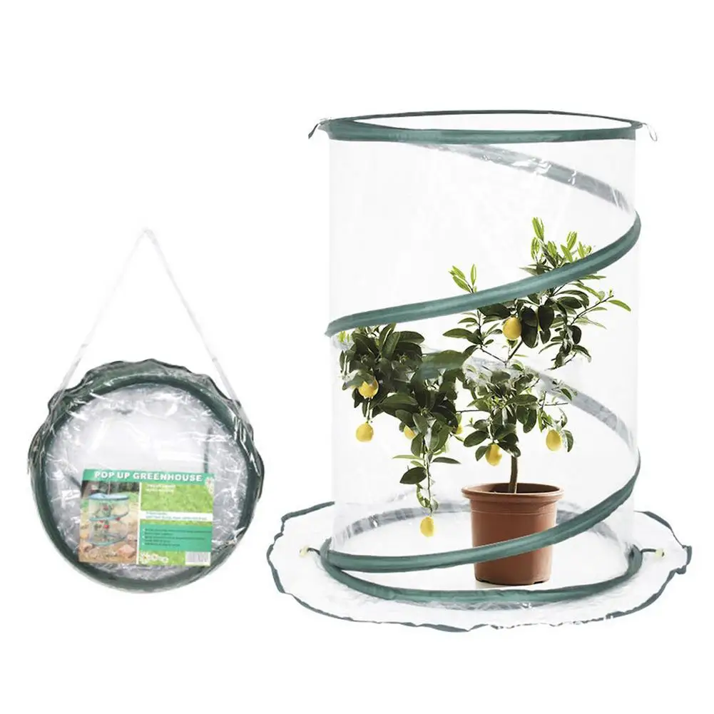 

Pop-up Greenhouse Mini Portable Outdoor Greenhouse Easy To Ventilate And Sunlight Enough Space For Plants Growth