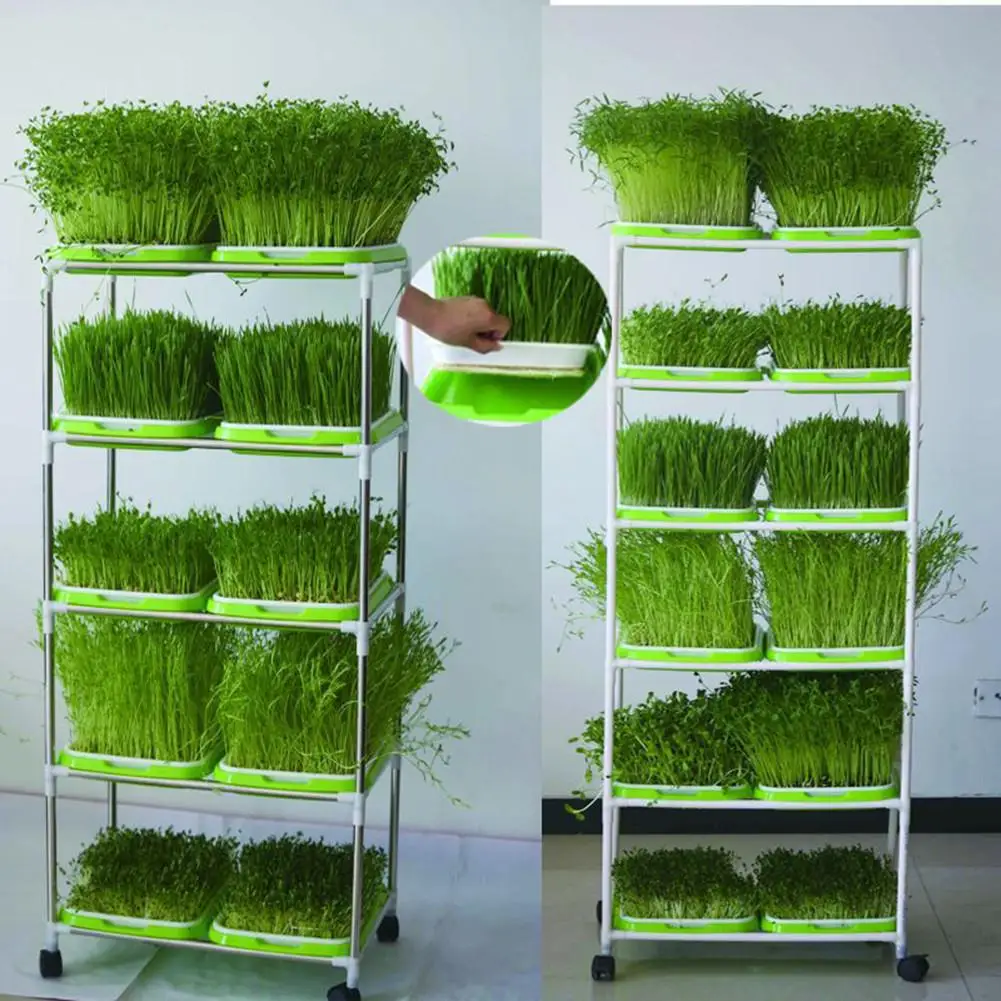 Planting Tray Sprouts Hydroponics Wheat Grass Implant Double-layer Soilless Culture Dish Seedling Color Random | Дом и сад