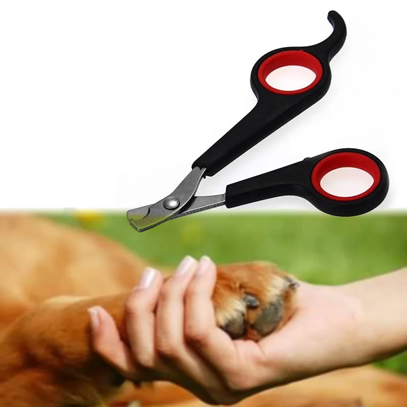 

Small Animals Claw Scissors Dog Cat Puppy Pet Nail Toe Clipper Grooming Claw Cutter Trimmer Bird Gerbil Rabbit Ferret Scissors