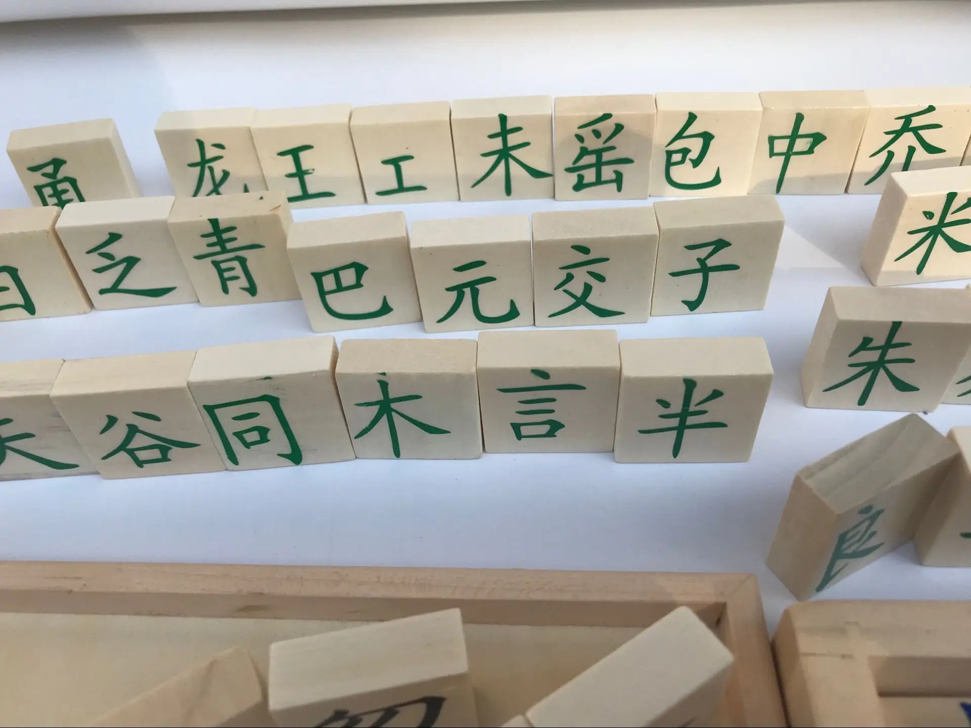

Domino Building Blocks Early Education and Wisdom Toy Spelling Cognitive Teaching Tools Montessori Enlightenment for Children