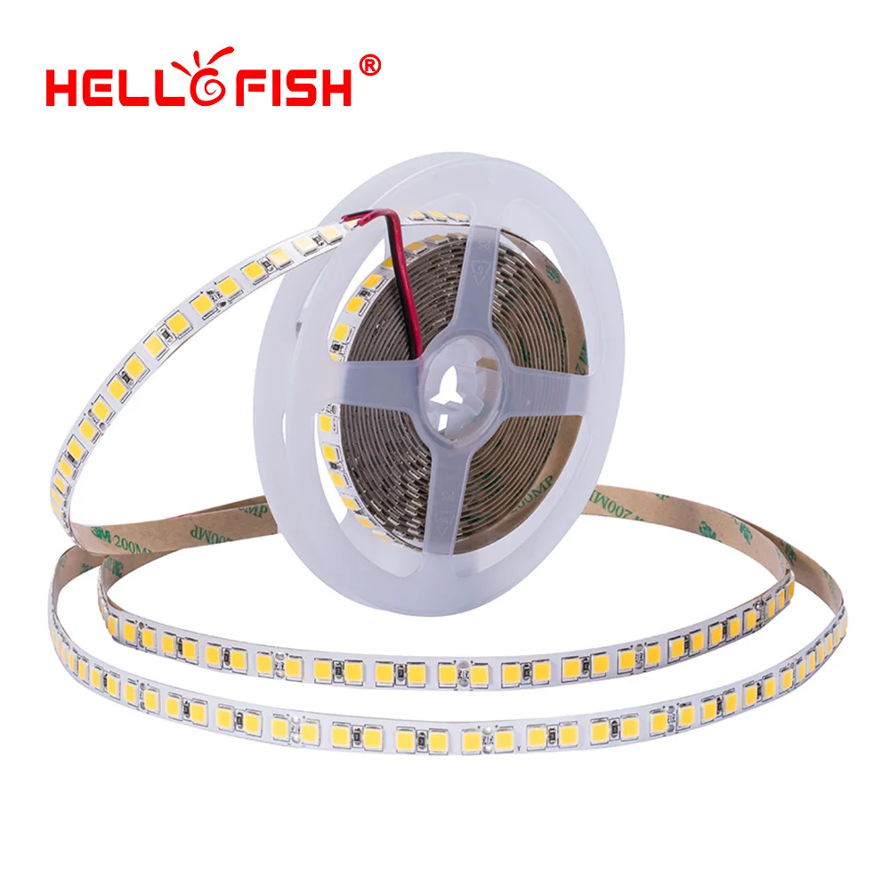 

5054 led strip 5m 120 LED light waterproof DC 12V flexible light stripe High brightness lights & lighting tape Hello Fish