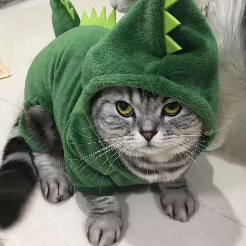 Одежда для домашних животных котов Забавный динозавр костюм куртка с капюшоном