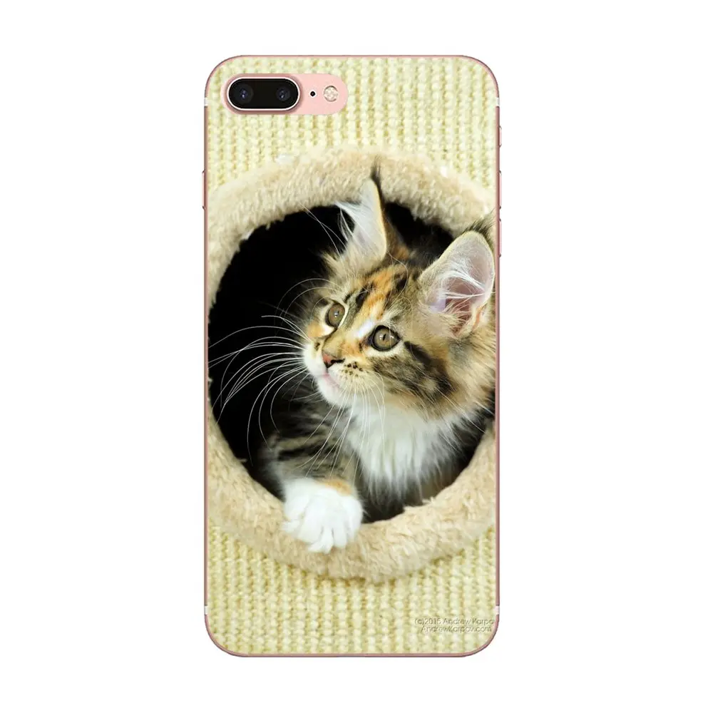 Pet с Мейн куном серебра роскошный Вертикальный чехол для телефона Xiaomi Redmi Mi 4 7A 9T K20