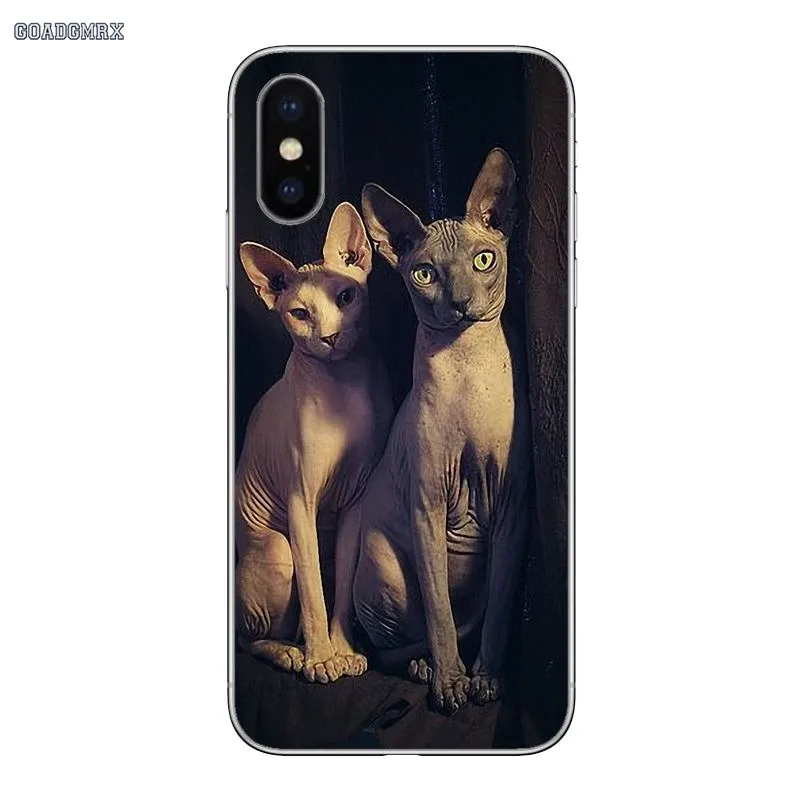 Sphynx Cat Luxury Cover For iPhone 11 X XR XS Pro MAX 4 4S 5 5S SE 5C 6 6S 7 8 Plus Transparent Soft Shell Covers | Мобильные