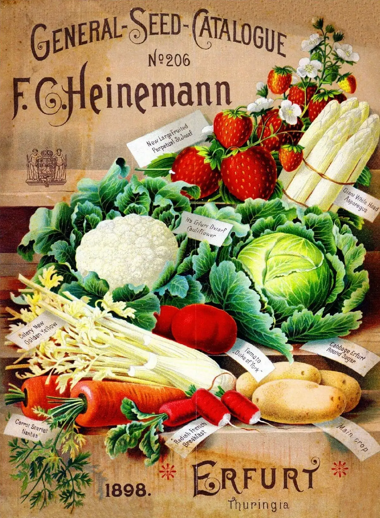 

16''x12''- Radish Vegetable Seed,Tin Sign Vintage Funny Creature Iron Painting Metal Plate Novelty