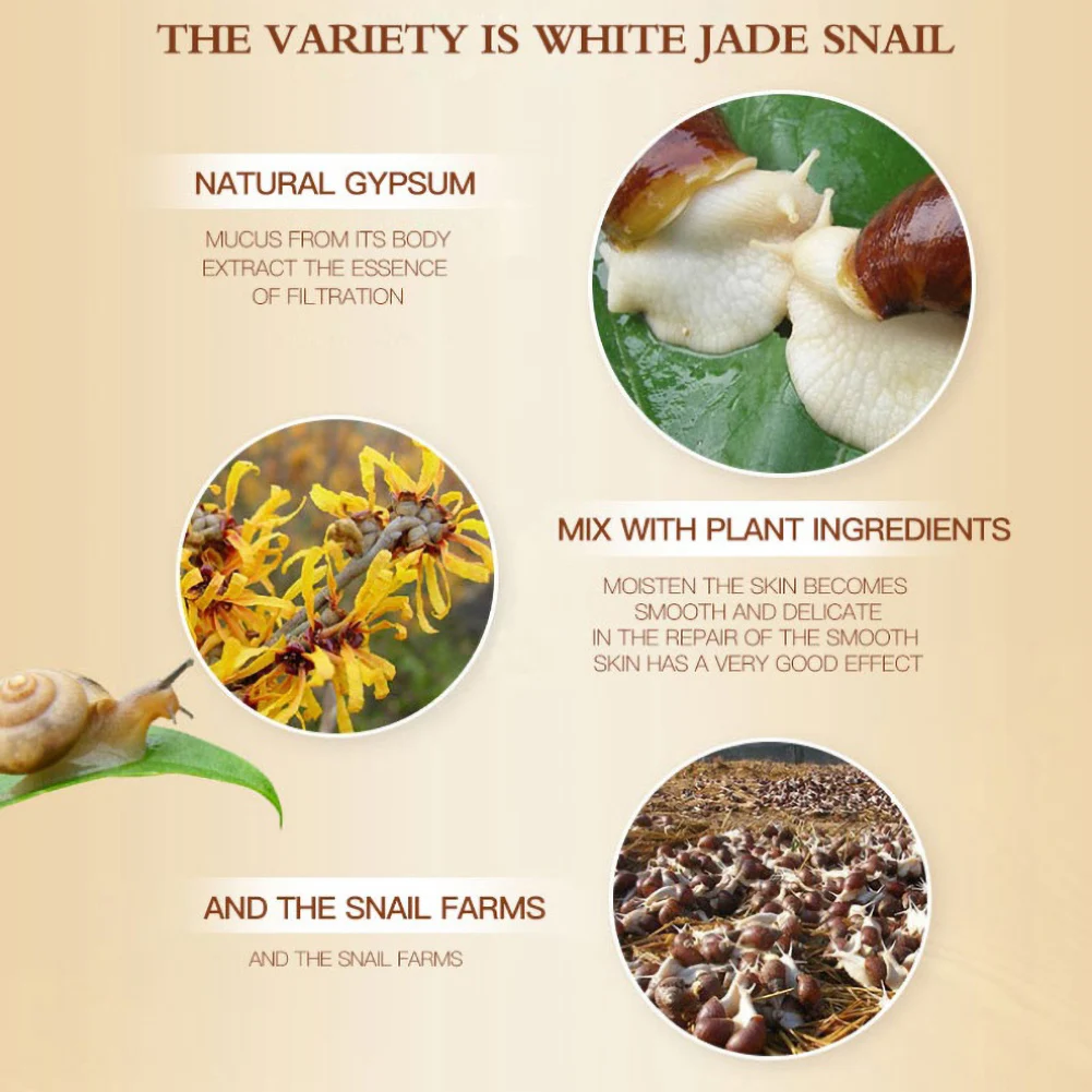 

Female Aging Wrinkle Cream Natural Snail Improve Acne Moist Nourishing Firming Facial Cream Anti Materials Face Care