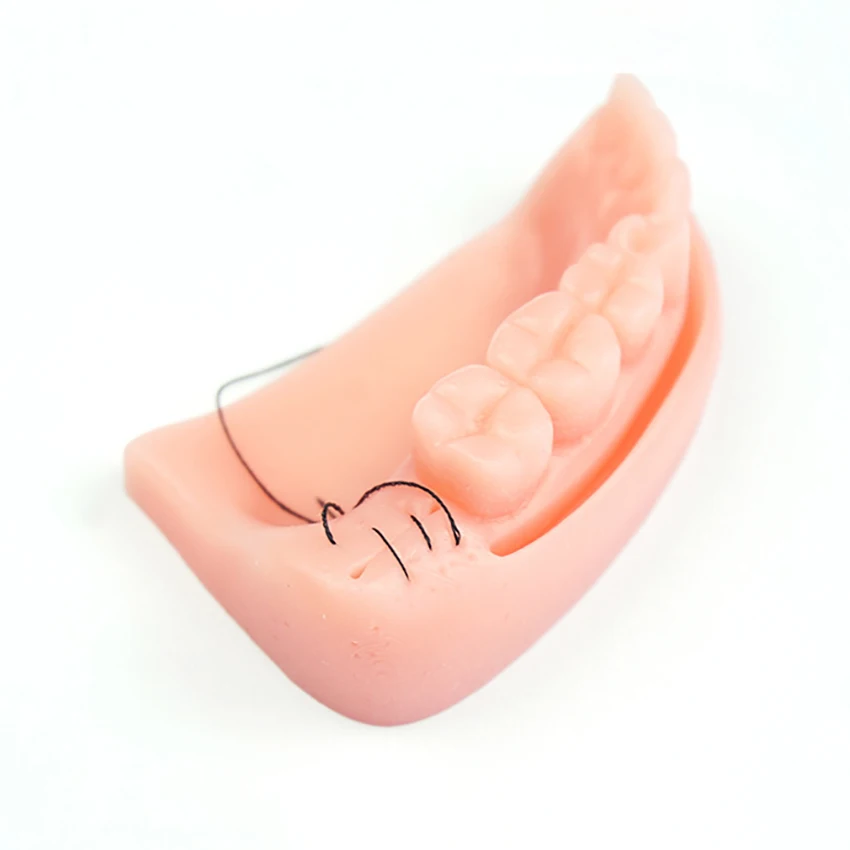 

3Pcs/set Oral Suture Training Module Silicone Dental Tooth Suture Training Module, Dentist Periodontitis Suture Teaching Model