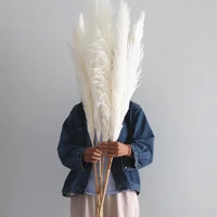 80cm pampas grass natural reed wedding dried flower large beige fluffy ceremony valentines day decoration modern home