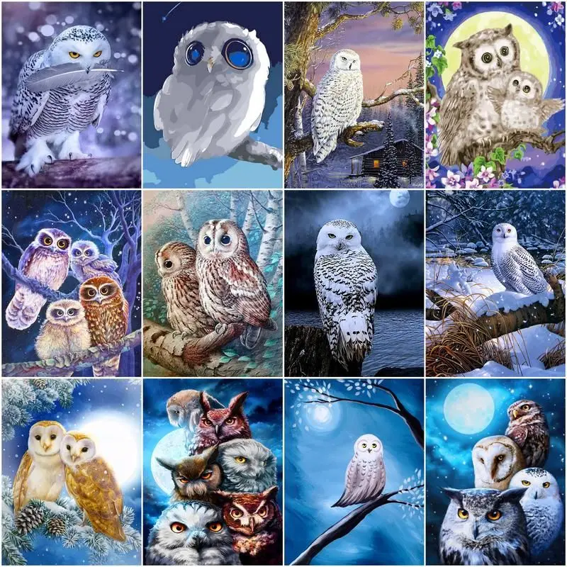 

GATYZTORY Paint By Number White Owl Animals Full Set Pictures Oil Painting By Numbers Drawing Canvas Home Decoration DIY Gift
