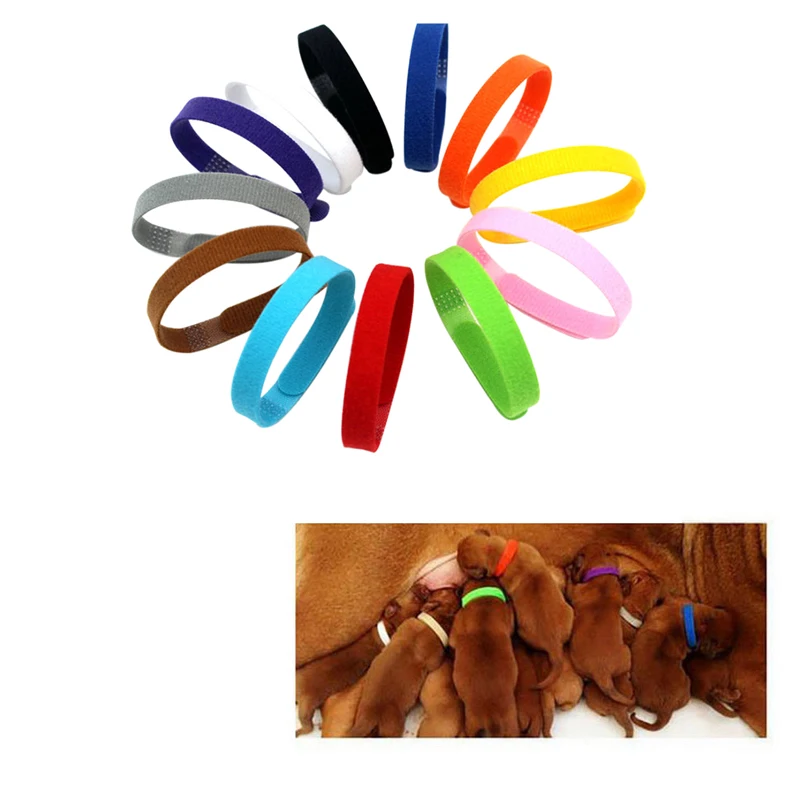 12 шт./компл. регулируемые нейлоновые ошейники для новорожденных питомцев
