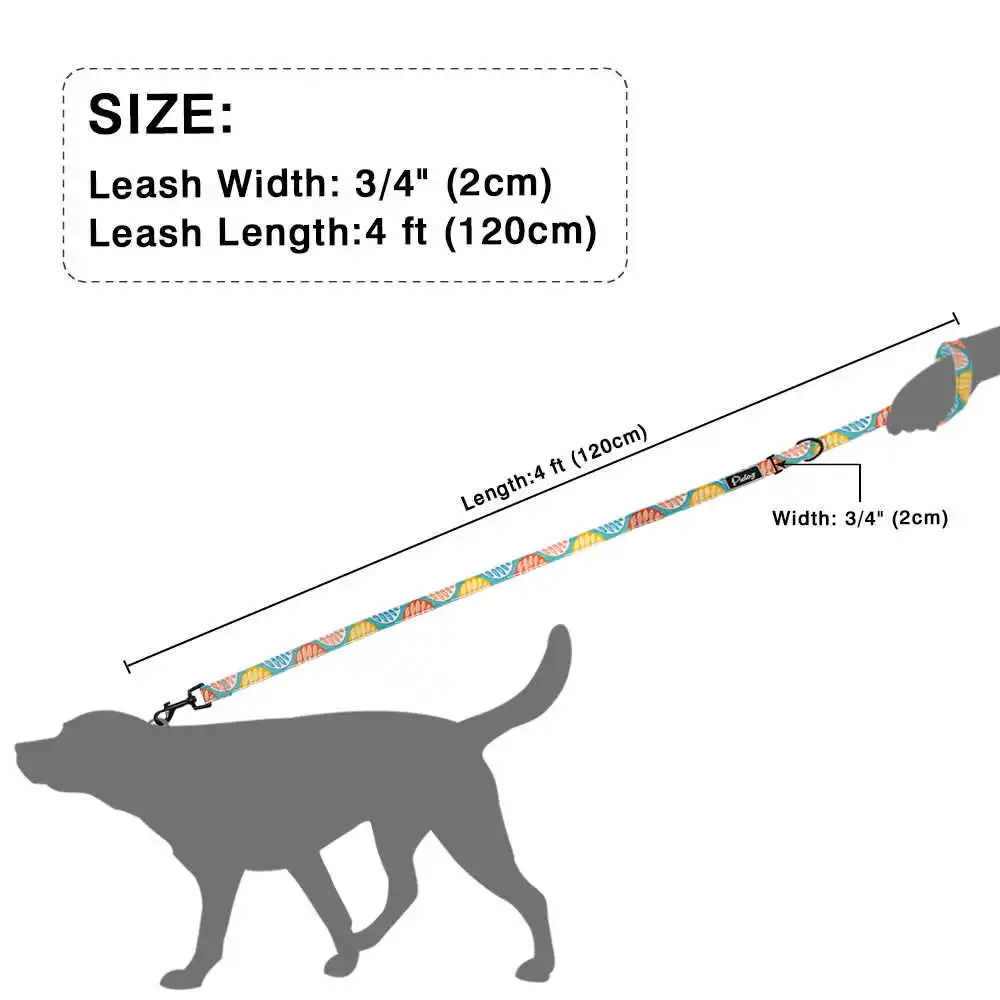

Heavy Duty Dog Leash Rope Nylon Printed Pet Dogs Walking Lead Leashes 120cm For Small Medium Large Dogs Cat Chihuahua Pitbull