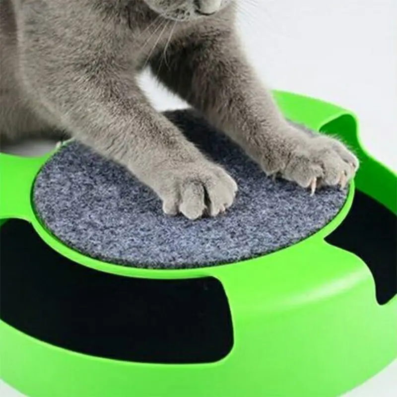 

Cat toy since hi rat game cat top grab board cat toy mouse cat supplies big hide catA cat catches a mouseRelieving bo