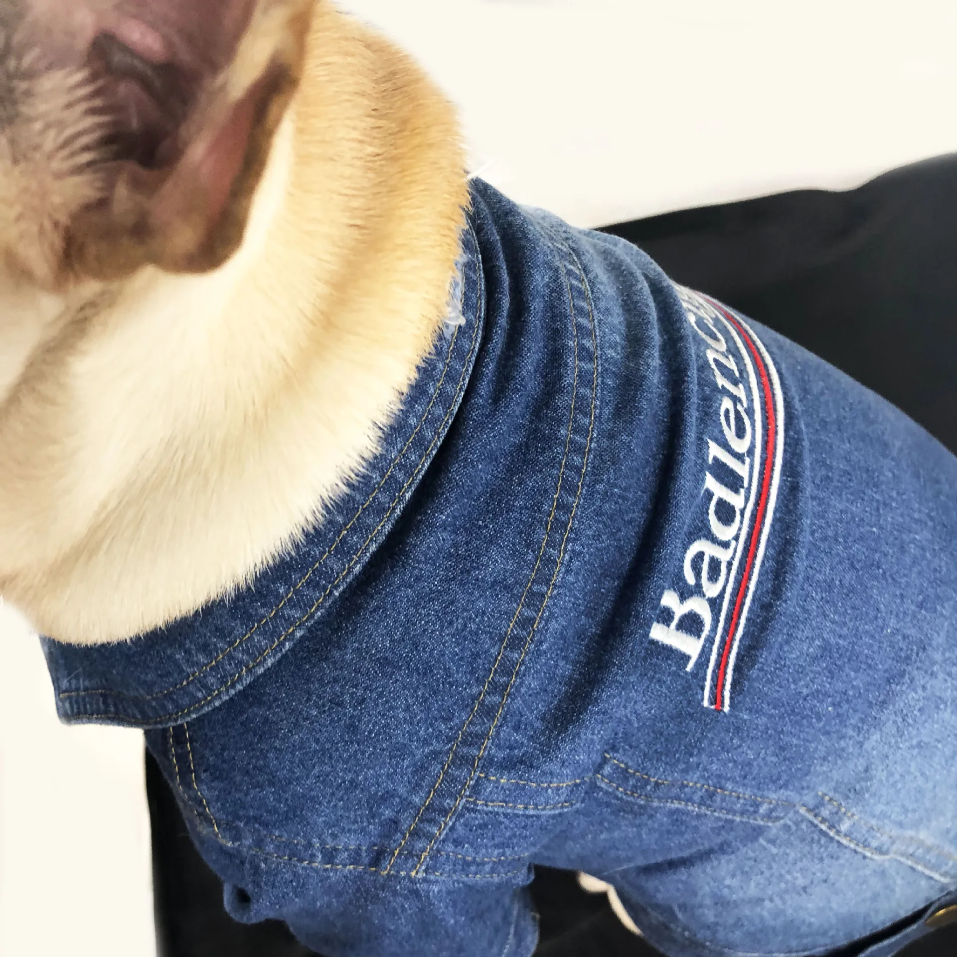 Модная Джинсовая куртка для маленьких собак пальто из денима с принтом