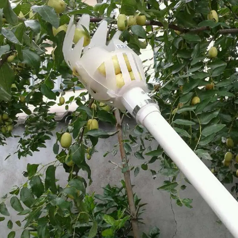 

Light Fruit Picker Adjustable Gripper Convenient Harvesting Fruit Collector Catcher Apple Peach Picking Supplies Garden Tools