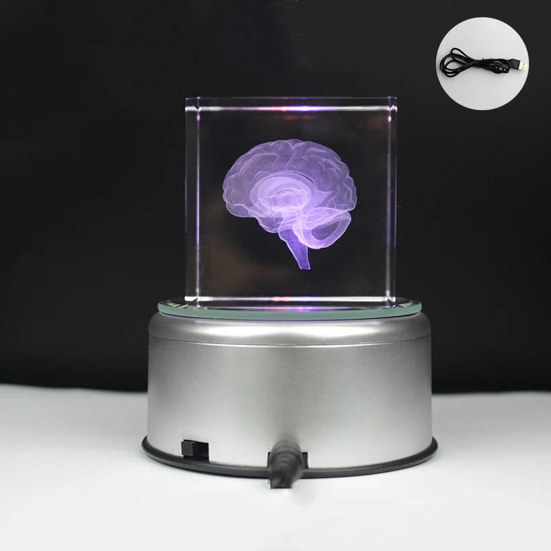 Античная Хрустальная 3d модель мозга лазерная гравировка скульптура статуэтки