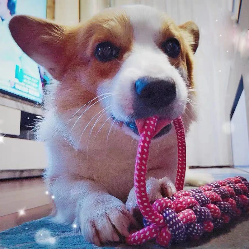

Pets Dog Toys Bite Resistant Cotton Ball Stick Knot Rope Toy Interactive Puppy Chew Teeth Cleaning Toys For Dogs Cats