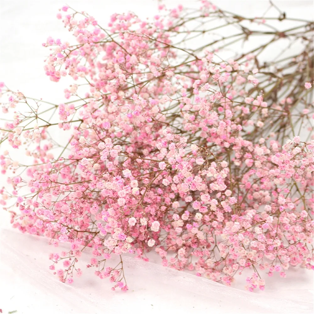 

2021 Time-limited Top Fashion Light Pink Garland Immortal Flower Baby Breath Bunch Valentine's Bouquet Wedding Day Gift Touch