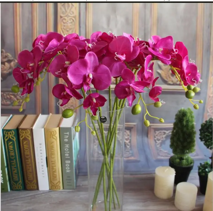 Beste Elegante Witte Phalaenopsis Vlinder Orchidee Bloem 78 Cm/30.71