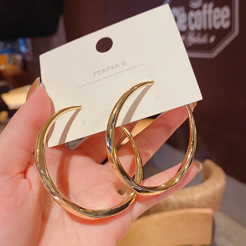 

S925 Silver Needle European and American Fashion Personality Classic Circle Earrings Female Exaggerated Retro Jewelry