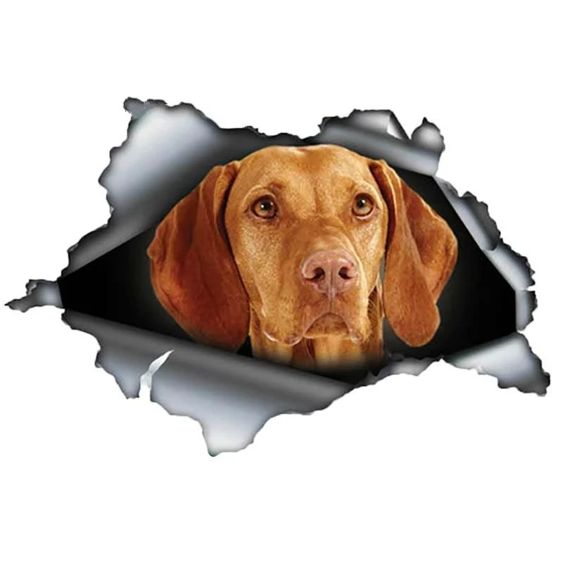 S50411 # различные размеры/цвета индивидуальная ПВХ Наклейка 3D Собака Vizsla