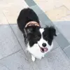 Изображение товара 3