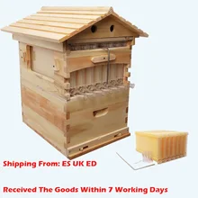 Деревянный ящик для пчел автоматический деревянных пчелиный