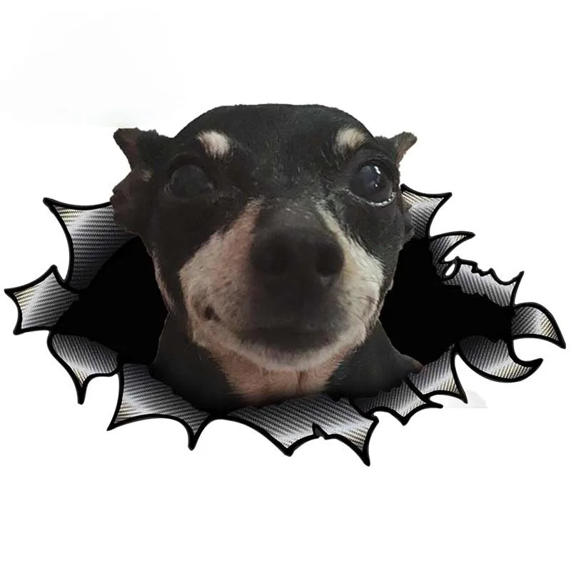 

Car Sticker 3D Pet Dog Waterproof Personality Suitable for Window Covering Scratch Sticker PVC, 13cm X 8.4cm
