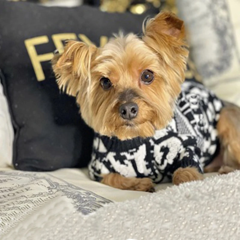

Dog Sweater Designer Dog Clothes French Bulldog Schnauzer Teddy Poodle Luxury Dog Clothes Dropshipping ZY3028