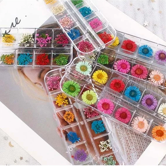 

Hot New Product Nail DIY Dried Flower 12 Color Star Daisy, Dried Flower Set 24 Pieces Dried Flower Box, Wedding Scene Decoration