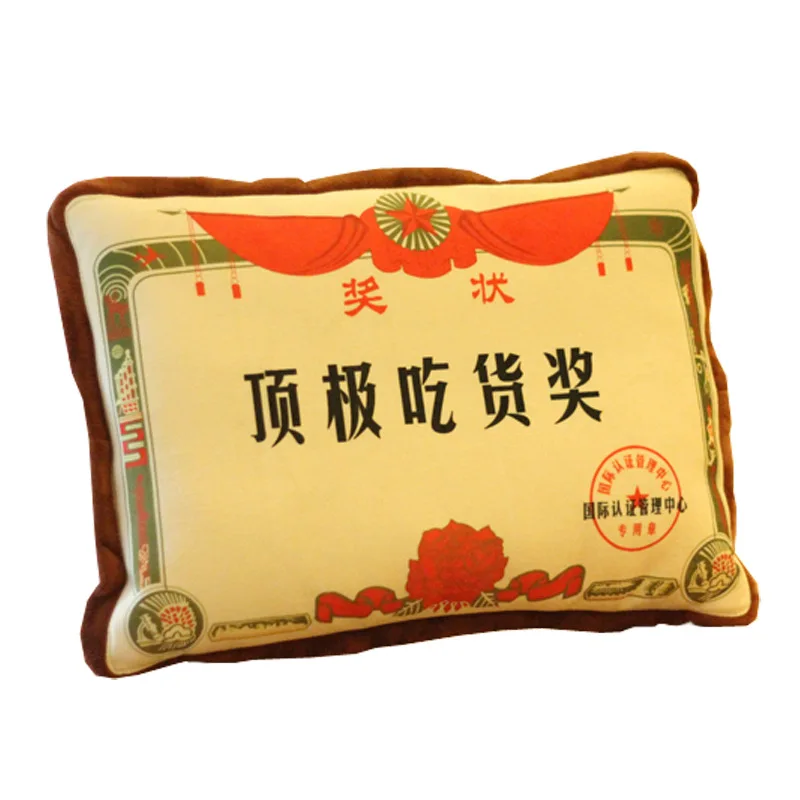 

Funny cool blanket Home Office Sofa Pillow Funny Gift Certificate of Merit Air Conditioning Summer Cool Quilt Pillow