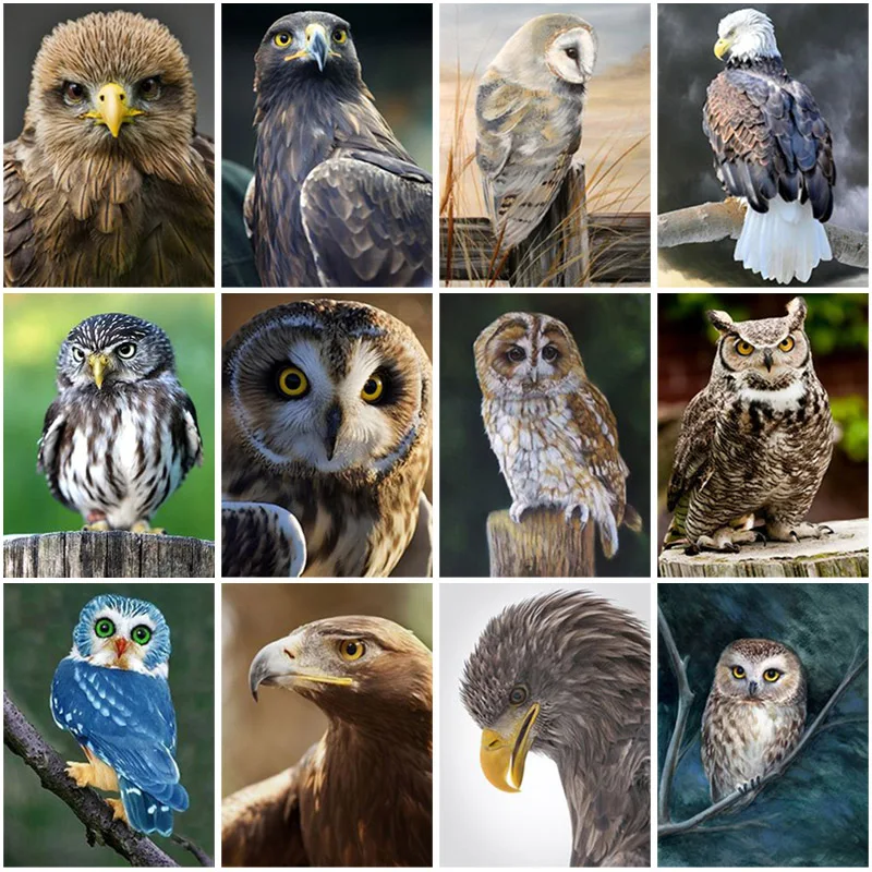 

DIY Owl 5D Diamond Painting Full Square Drill Animal Birds Diamond Embroidery Cross Stitch Rhinestone Kit Home Decor Wall Art