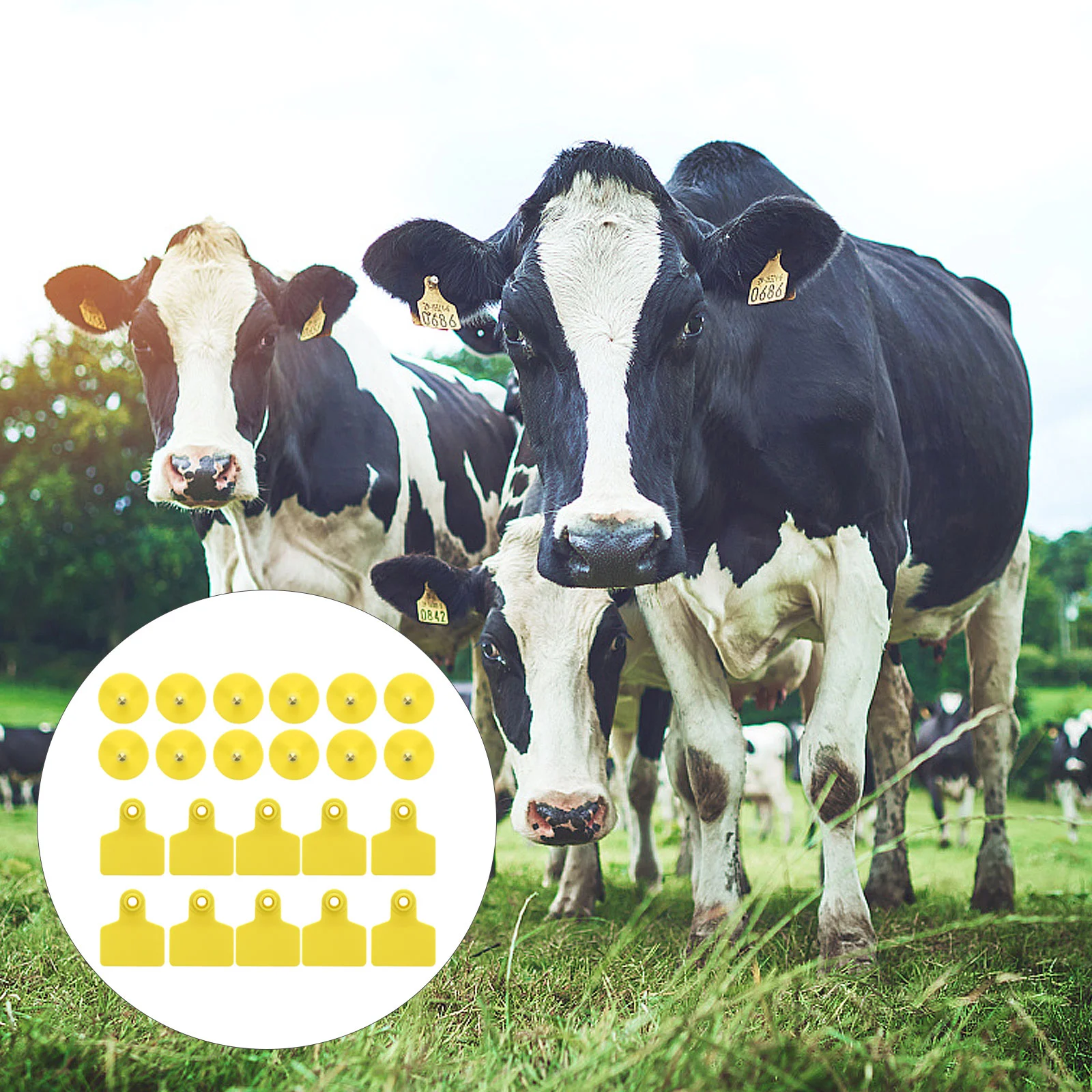 

100pcs Practical Livestock Simple Ear Tags Ear Tags Supplies for Pasture