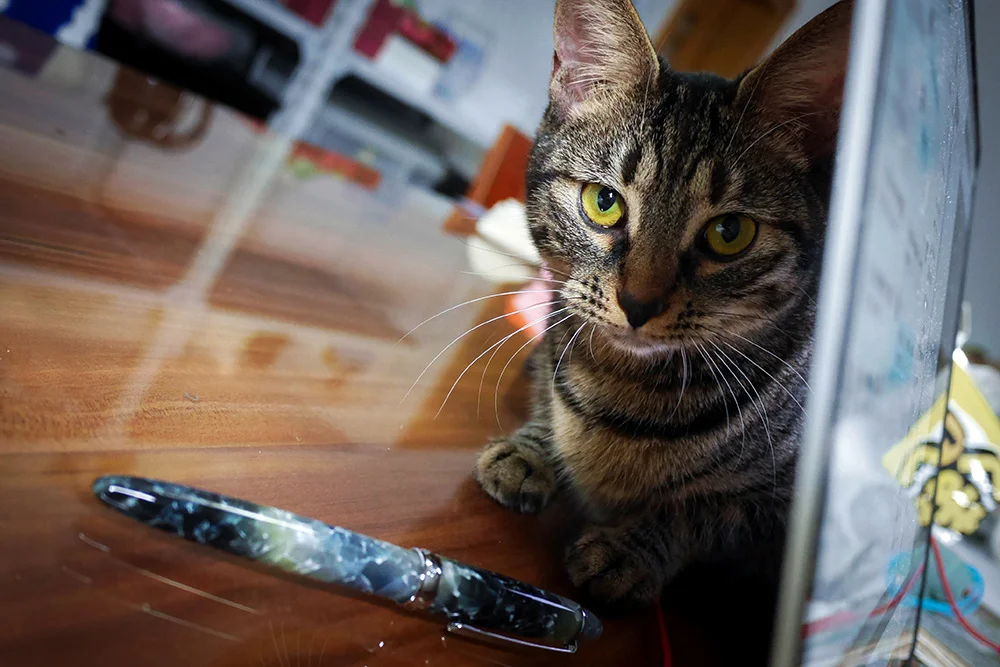 Najtaniej Pennbbs 308 W Specjalnym Kolorze Ciasto Ryżowe żywica Wieczne Pióro Z Stalówką F