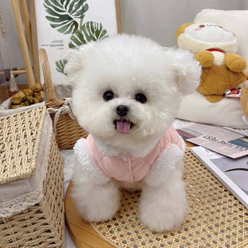 

Pet clothes autumn and winter new thick cotton traction jacket Teddy Bichon dog warm cardigan cotton jacket
