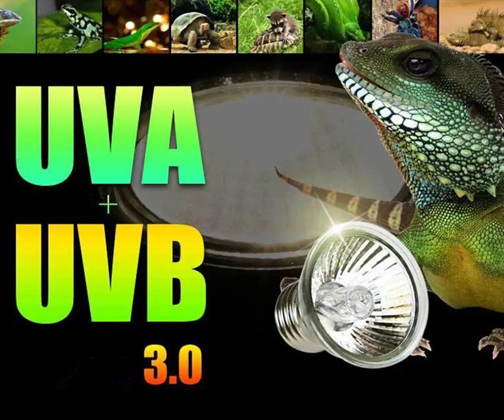 Лампа для черепахи 25/50/75 Вт UVA + UVB 3 0|Освещение аквариума| |
