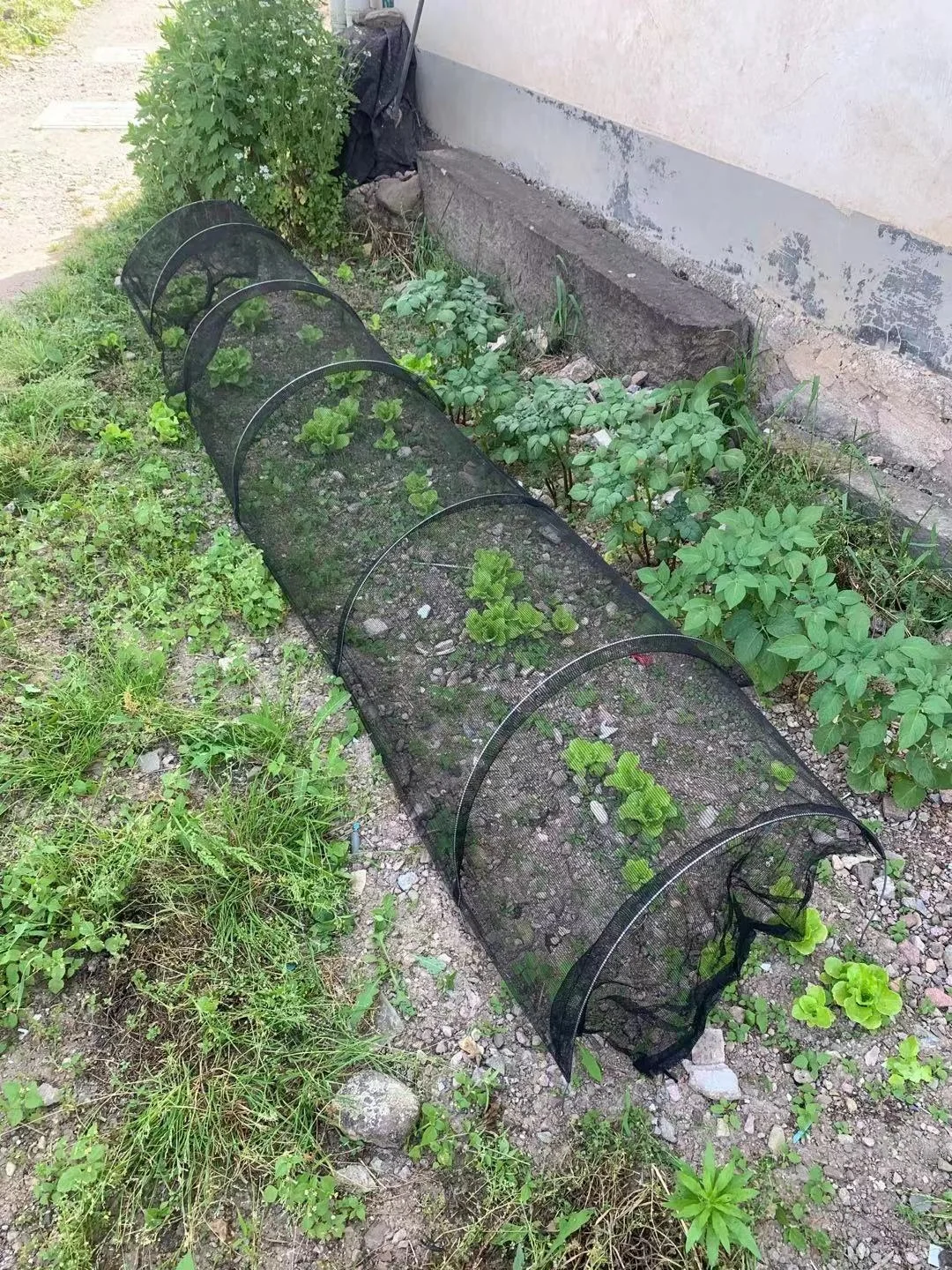

300cm Length Plant Insect Prevention Net Growth Tunnel Nets Protect From Birds Garden Accessories Breathable Insulation