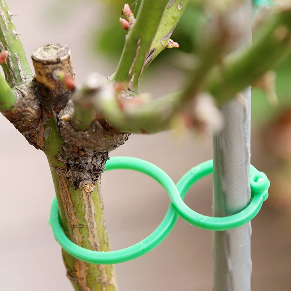 

50Pcs Vine Growing Clips Adjustable Garden Plant Fix Rings Reusable Plastic Vegetable Upright Clamps