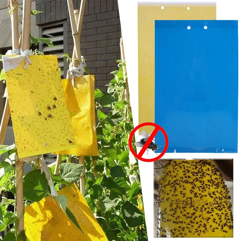 Paper Fly Trap Board Leaf Miners Fungus Gnats Tree Vegetable Garden Flies Traps Hanging Home for OutDoor Insects Killer Aphids | Дом и сад