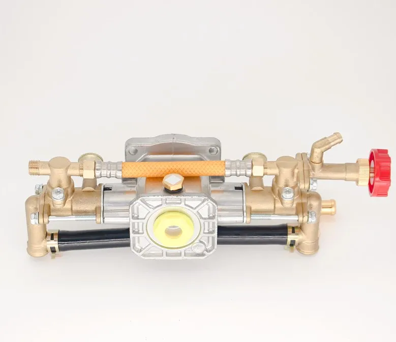 

High-pressure motorized sprayer, 220V single-phase garden sprayer pump head